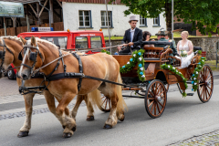 20250705-DSC05851