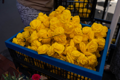 20250701-DSC05643