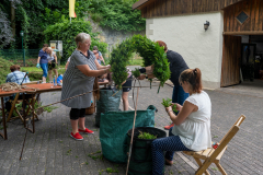20250703-DSC05675
